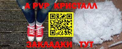 стаф Кингисепп
