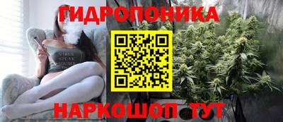 эйфоретик Кимры