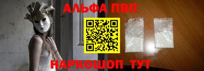 стаф Кингисепп