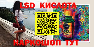 стаф Кингисепп