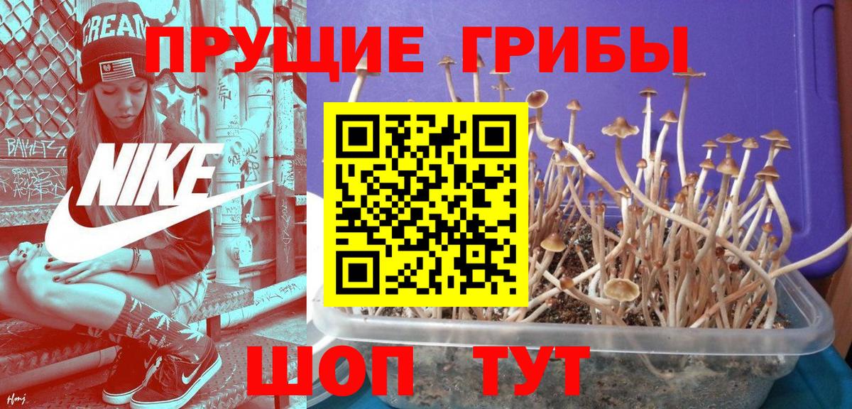 Галлюциногенные грибы ЛСД Коркино