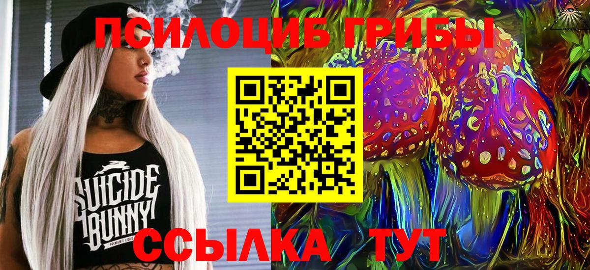 Коркино  Галлюциногенные грибы GOLDEN TEACHER  Вход с VPN  Галлюциногенные грибы прущие грибы 